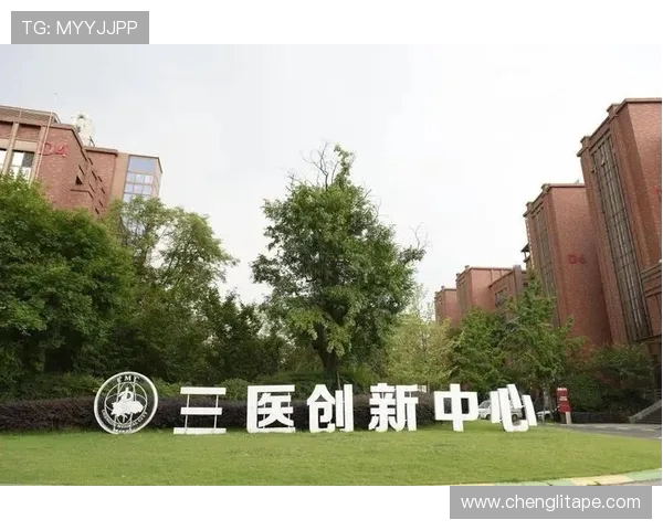 以成都蓉城为核心打造创新科技城市群促进区域经济协同发展与产业升级