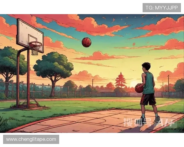 篮球之路：从街头巷尾到NBA赛场的梦想与拼搏
