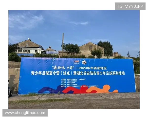 绿茵争锋激情绽放世界足球赛场群星闪耀逐梦未来