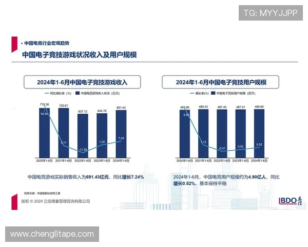 全球电竞生态变革与未来趋势洞察中国力量崛起与产业融合新格局 全球电竞生态变革与未来趋势洞察中国力量崛起与产业融合新格局