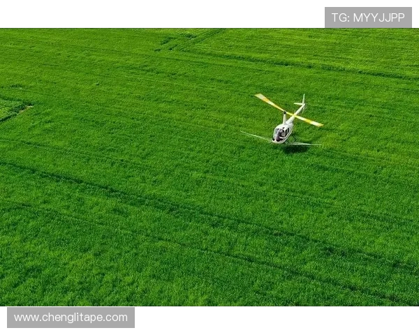 探寻宁波町渥的海港风情与现代产业融合发展之路 探寻宁波町渥的海港风情与现代产业融合发展之路