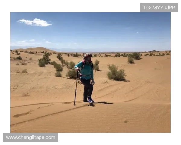 城市赛特别报道:FPX战队的崛起与挑战之路全景回顾 城市赛特别报道:FPX战队的崛起与挑战之路全景回顾