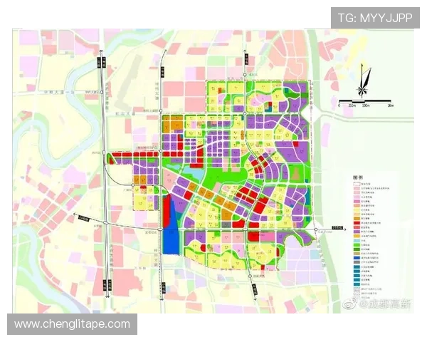 成都排球队的战术创新与运营体系探索分析