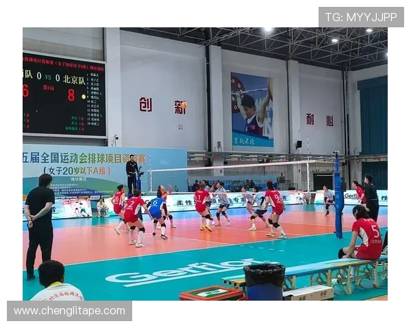 最新排球实力排名揭晓杭州排球队强势领跑全国前十