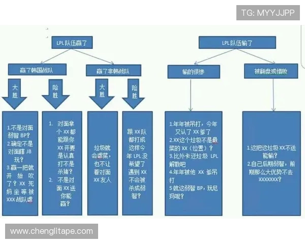 英雄联盟专题深度解析WE战队的战术节奏与团队协作之道