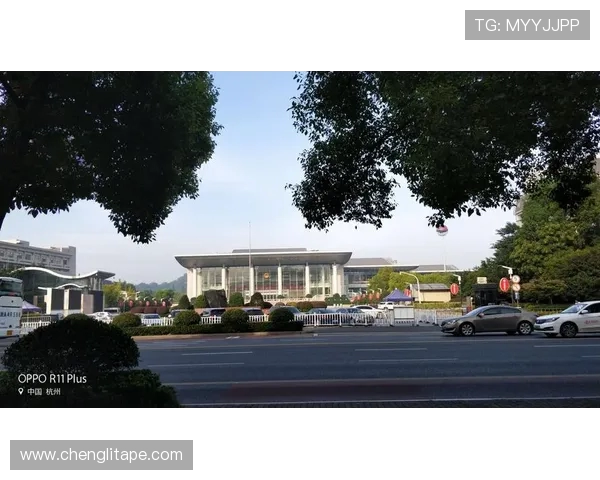 赛后分析：杭州与上海极限运动队心理素质对比及其影响因素探讨