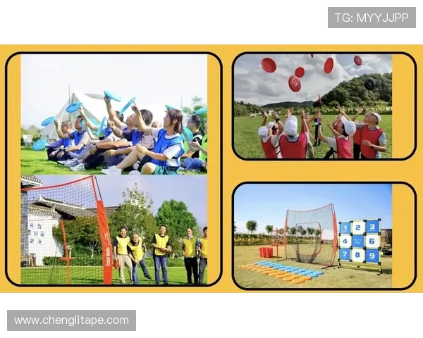 飞盘热潮下的杭州飞盘队团队协作新模式探索与实践